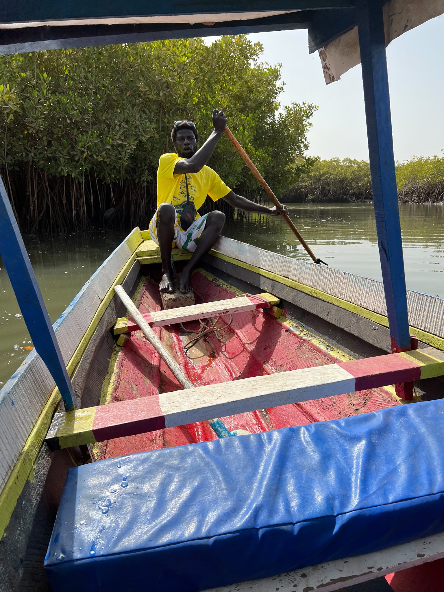 Lamin Lodge