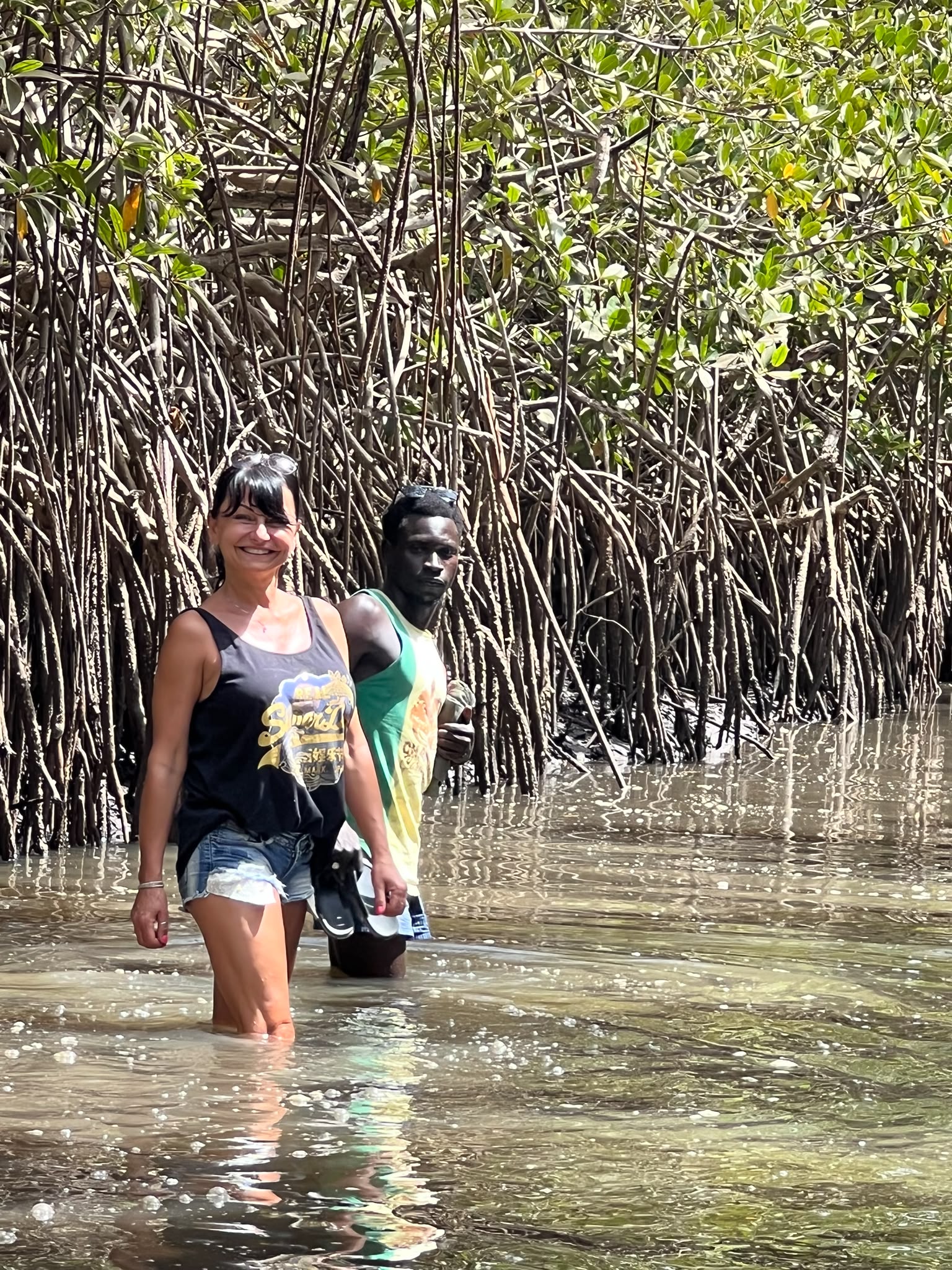 Lamin Lodge