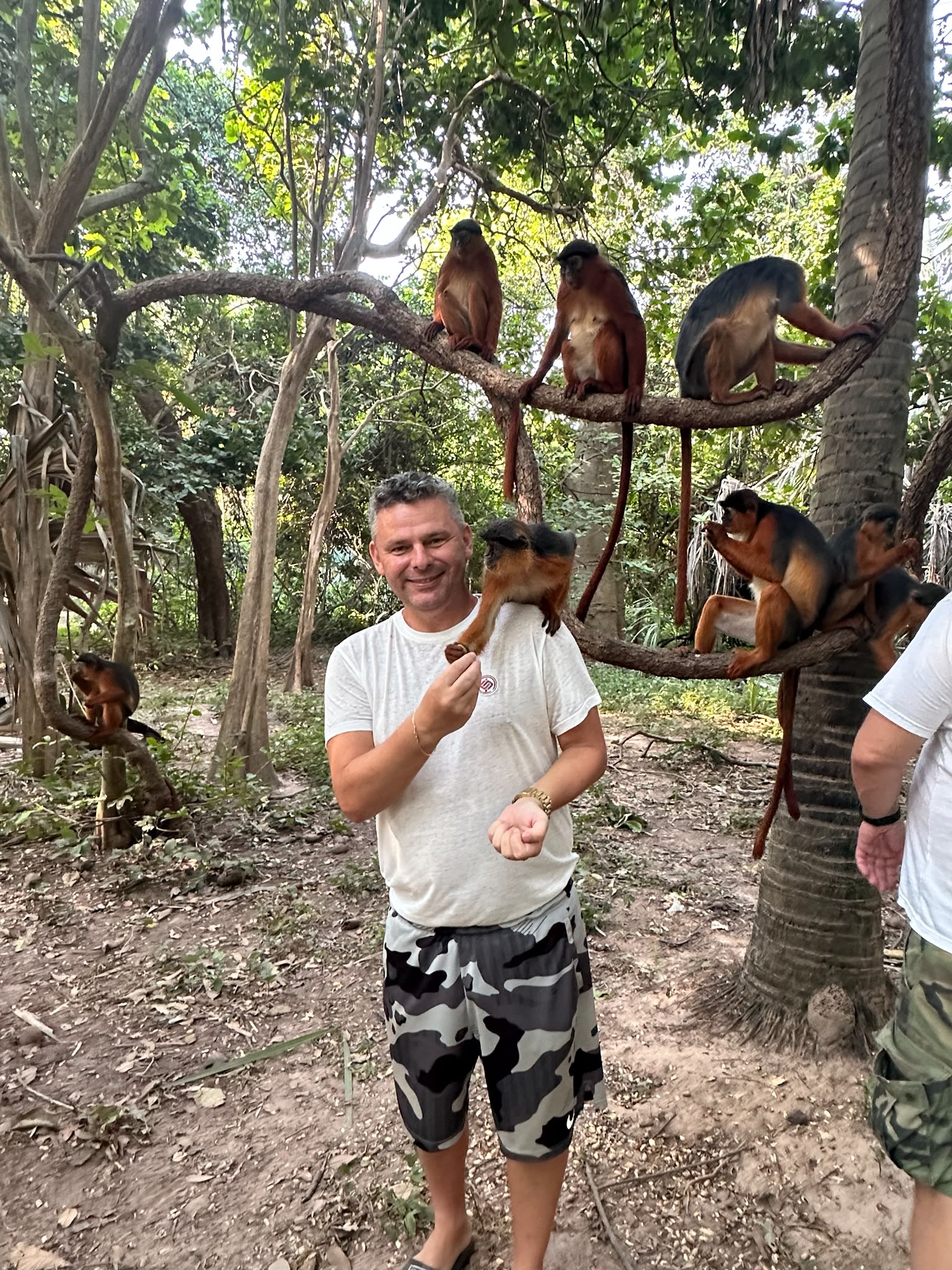 Monkey Park