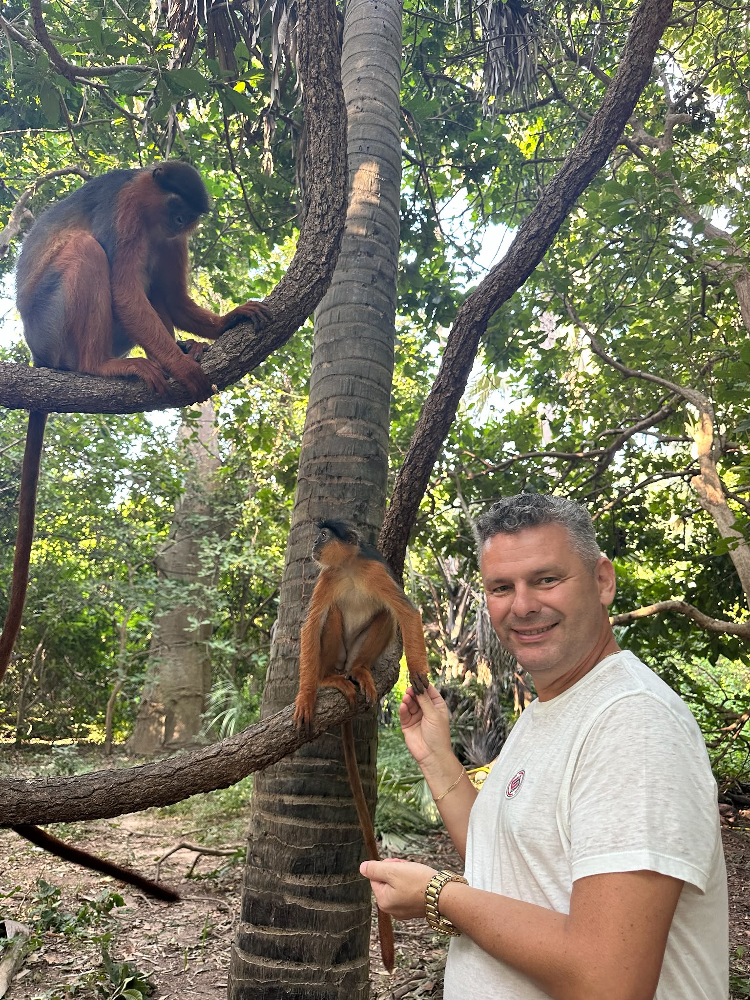 Monkey Park