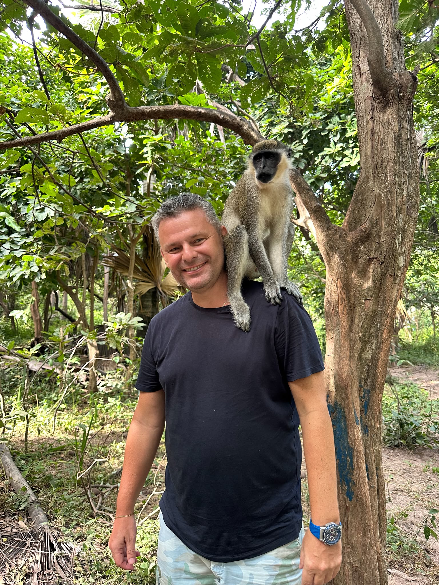 Monkey Park