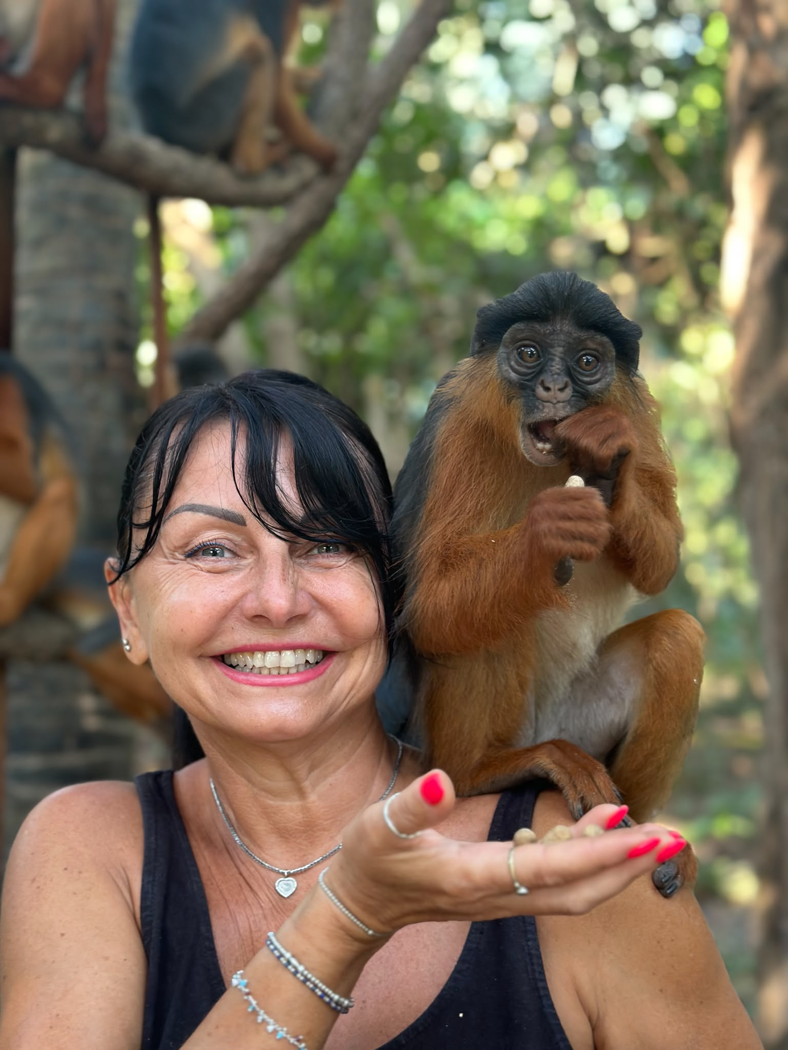 Monkey Park
