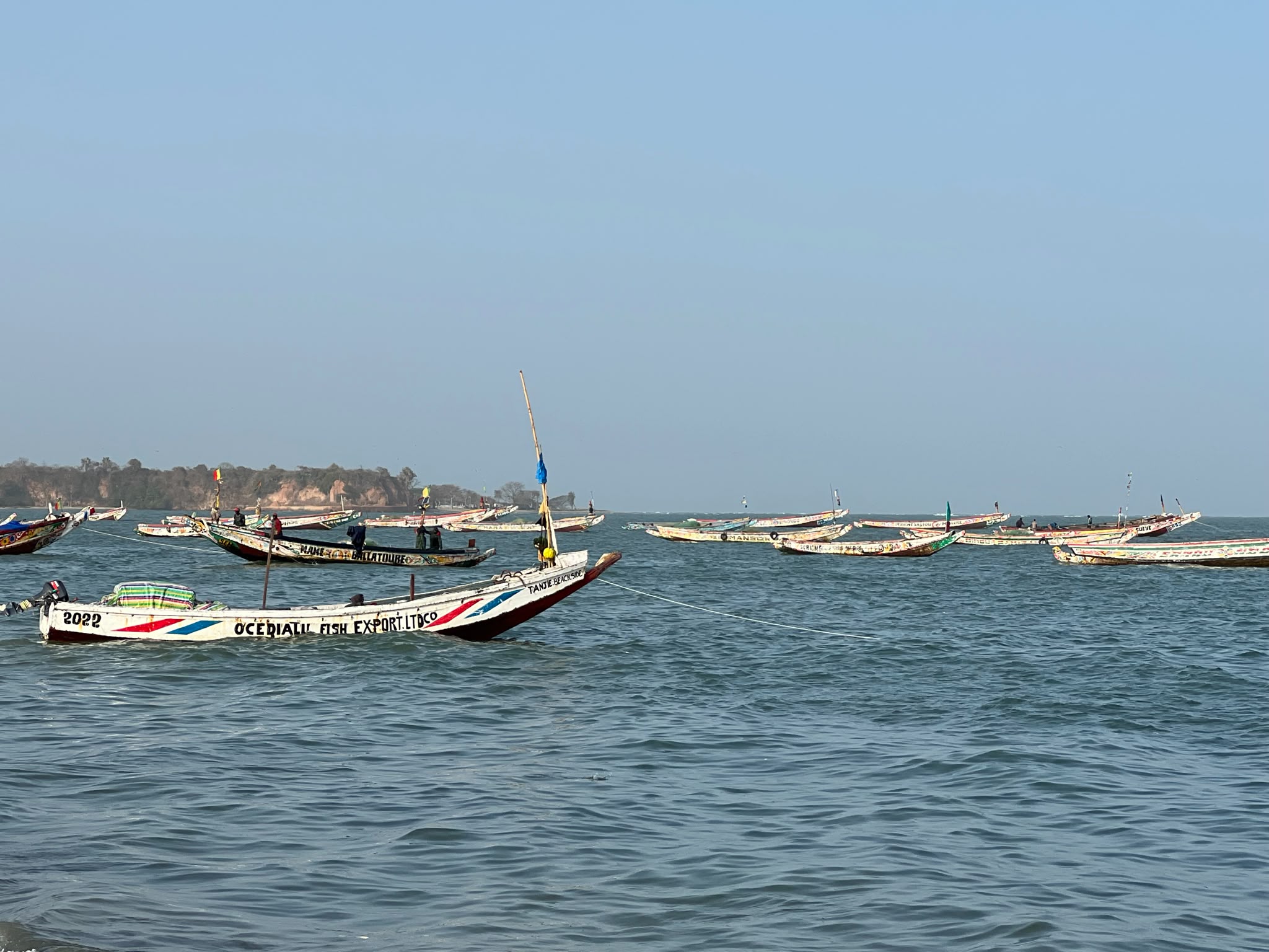 Tanji