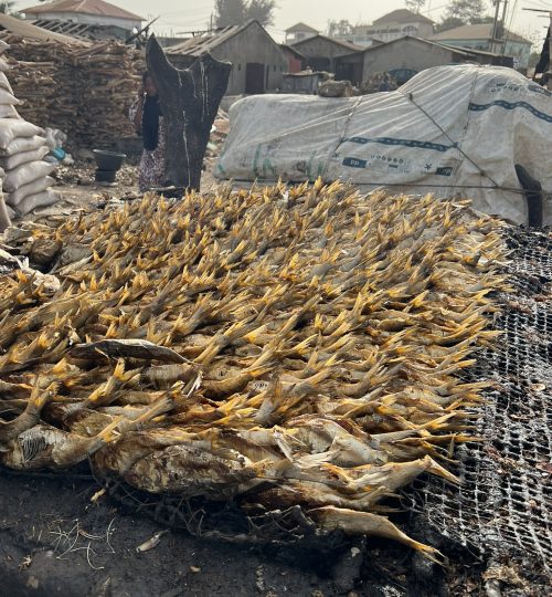 E1C3595F-D1A6-41FC-A9FF-DF14B96A7EDE